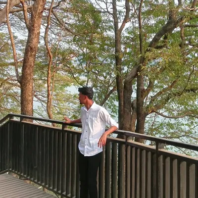 Prachurjya profile