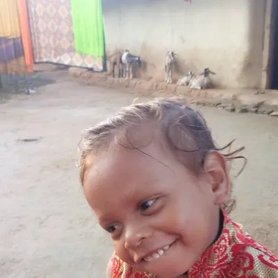 P K Raj profile