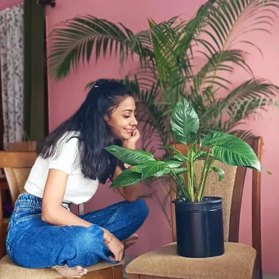 PRAKRITI'S GARDEN profile