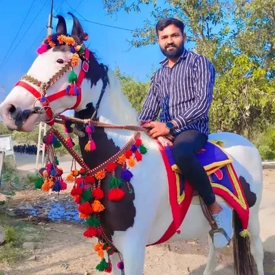 ਪ੍ਰਤਾਪ ਦਰਬਾਰ profile