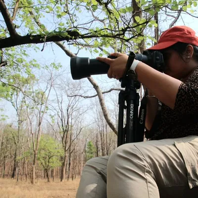 Moment in Focus by Pratibha Pethkar profile