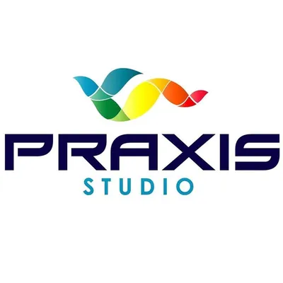 Architectural Visualization Services Studio | Praxis Studio profile