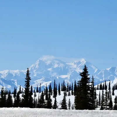 Preston Gladd profile