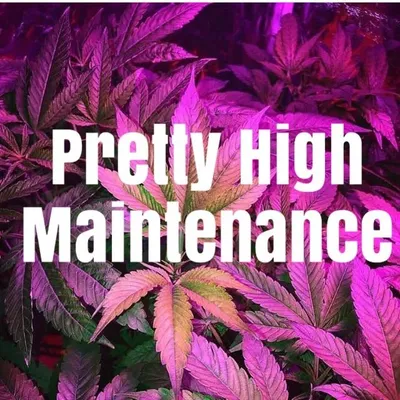 PrettyHigh Maintenance profile