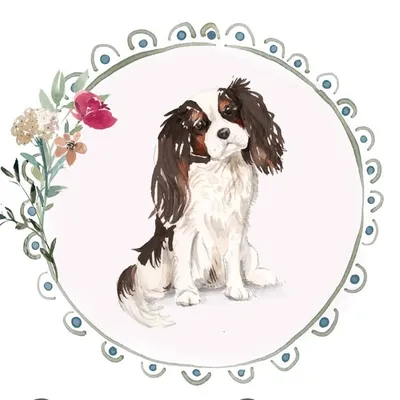 Cadelia Cavaliers profile