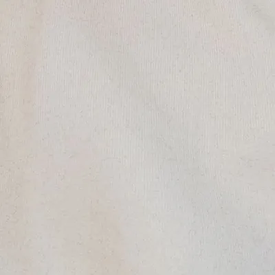 Raja profile