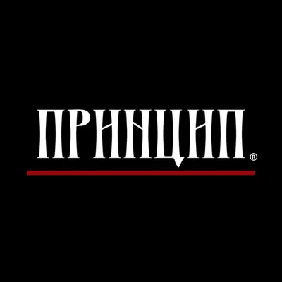 Принцип® profile
