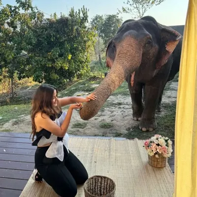 Priyaa Raj Paraswani profile