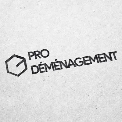 Pro Déménagement profile
