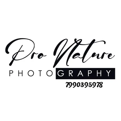 Faizan Shaikh profile