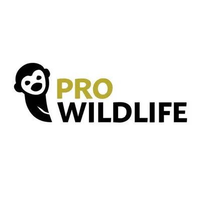 Pro Wildlife | Eine Stimme für Wildtiere profile