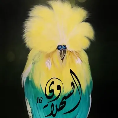 Sayed Mohd Alsehlawi profile