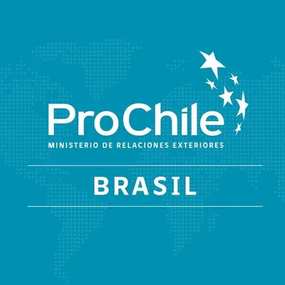 Prochile Brasil profile