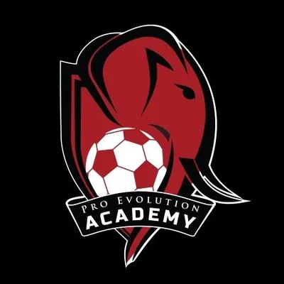 ProEvolution Academy profile