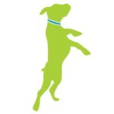projectbluecollar profile