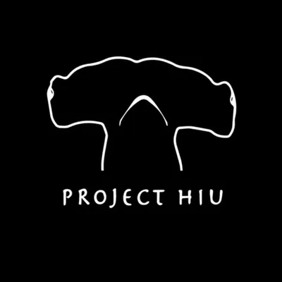 Project Hiu profile