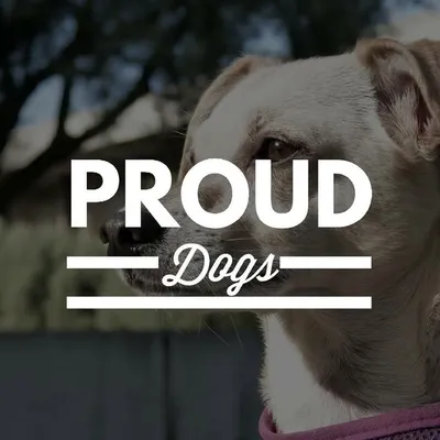 Dogs & Puppies profile