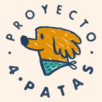 Proyecto 4 Patas profile