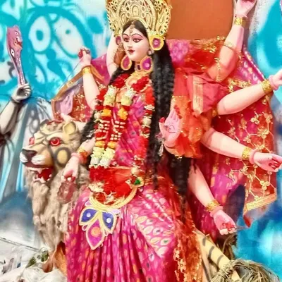 Pravi P profile