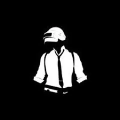PUBG AMAZING FUN profile