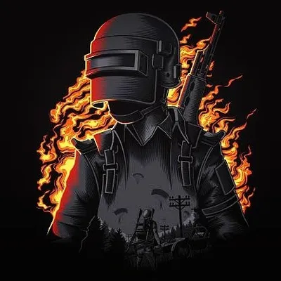 PUBG FEVER profile
