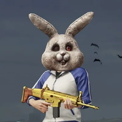 Pubg Gameshow profile