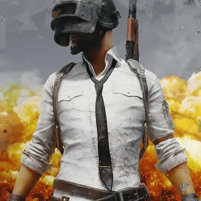 pubg mobile indian profile