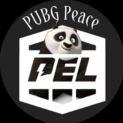 PUBG Peace (2019-2024) profile