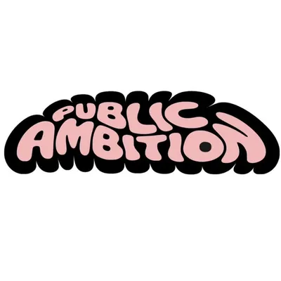 Public Ambition profile