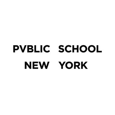 PUBLIC SCHOOL NEW YORK profile
