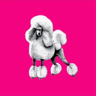 PUDELEK 🐩 profile