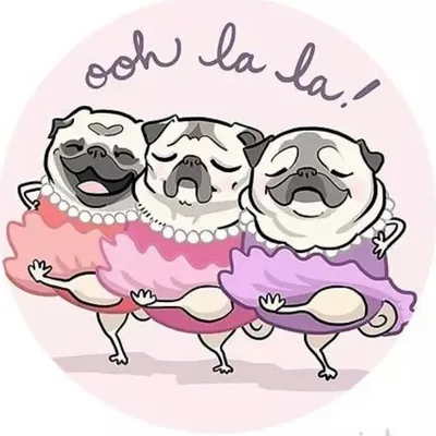 Pugdashians profile