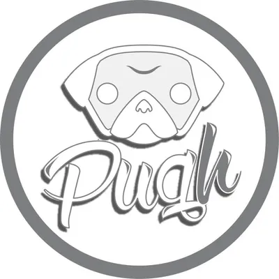 Pugh Studios profile