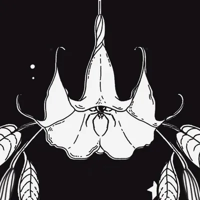 Pukizo profile