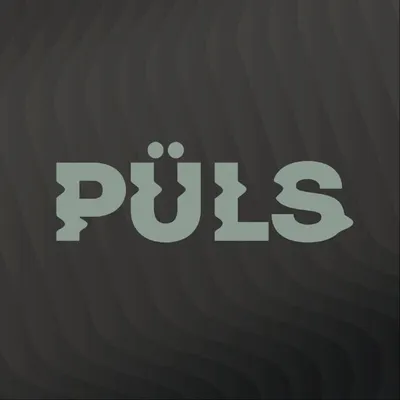 Püls Media • Sport, Récits & Tests Matos profile