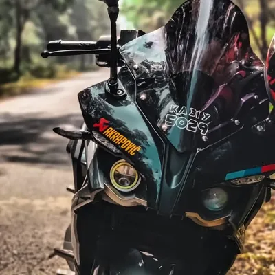 Pulsar Rs 200 profile
