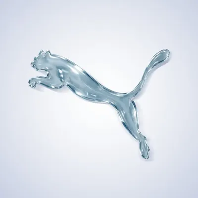 PUMA Football profile