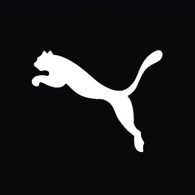 PUMA Motorsport profile