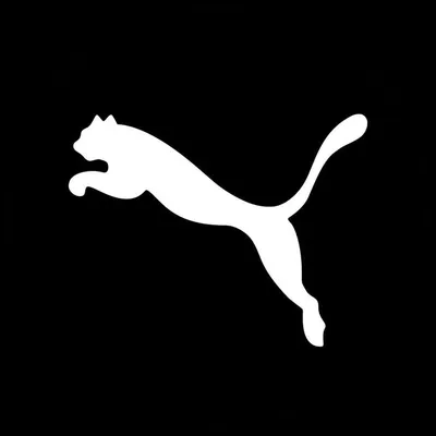 PUMA Perú profile