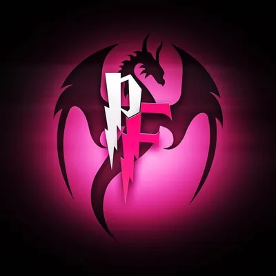 Pune Fighter profile