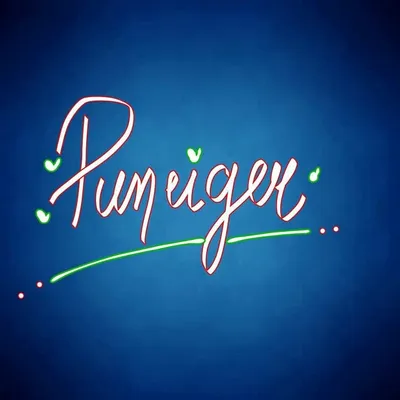 Pune stories profile