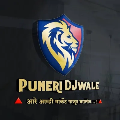पुणेरी डिजेवाले 🖤📈 profile