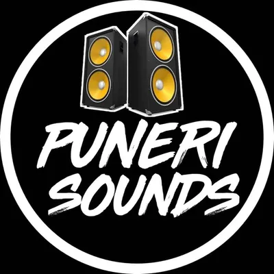 punerisoundsofficial profile