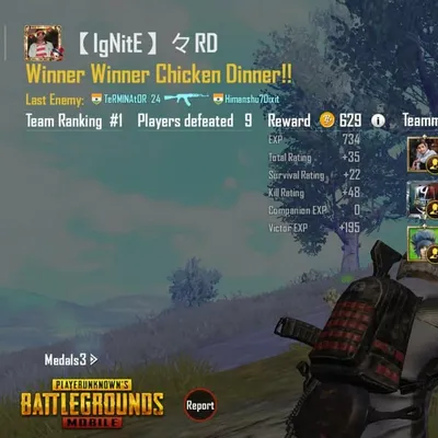 pubg_lover profile