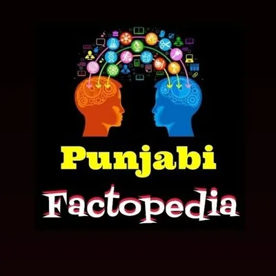 Punjabi Tath 🧠 profile