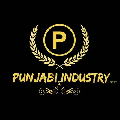 punjabi industry profile