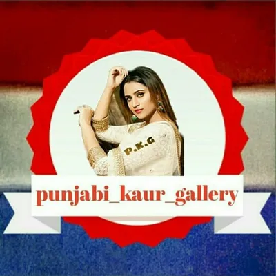 ਪੰਜਾਬੀ_ਕੋਰ_ਗੇਲਰੀ🙋💿🎬 profile