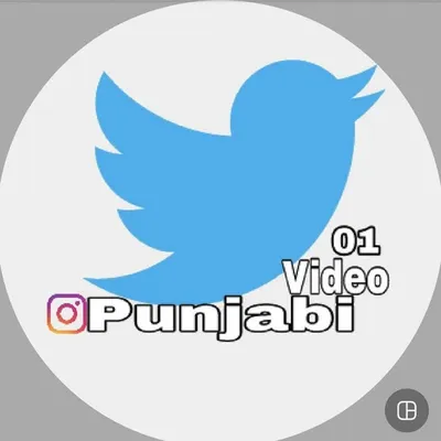 Punjabi_video_01 profile