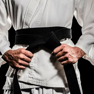 only punjab karate profile