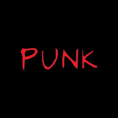 PUNK® profile